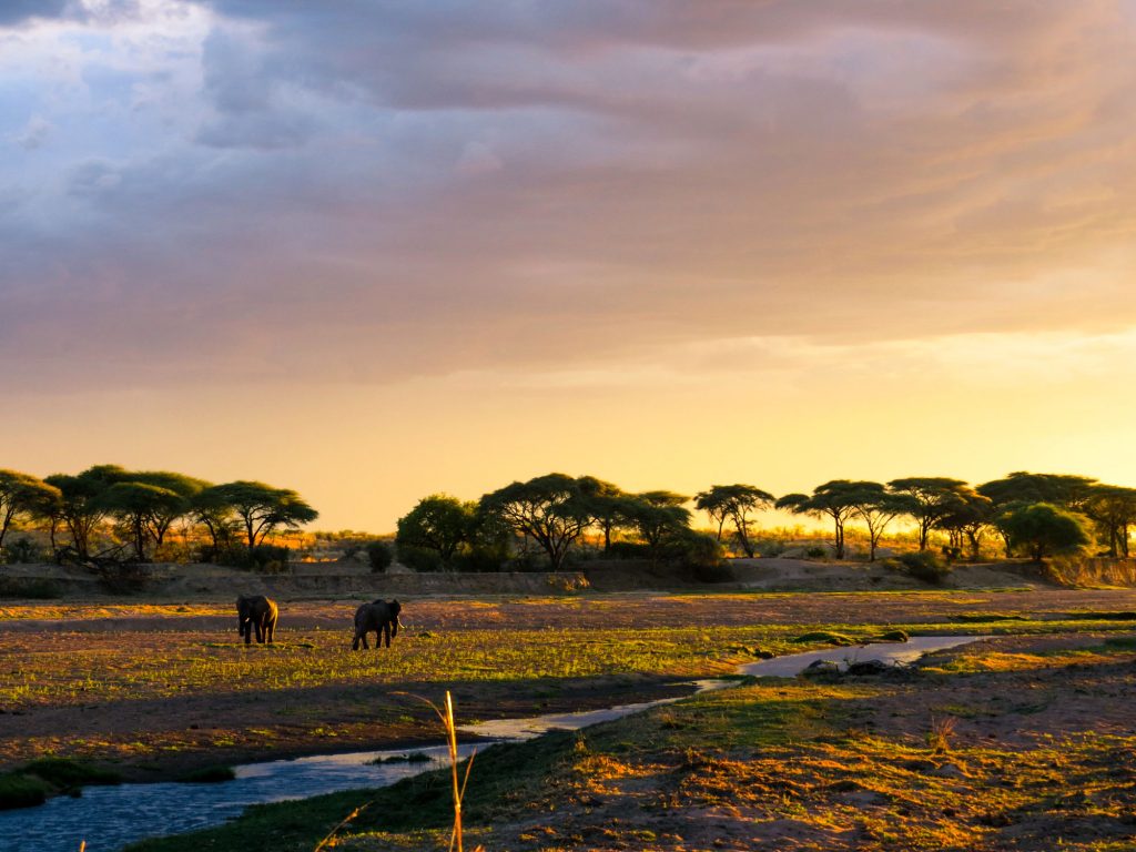 Tanzania Destination
