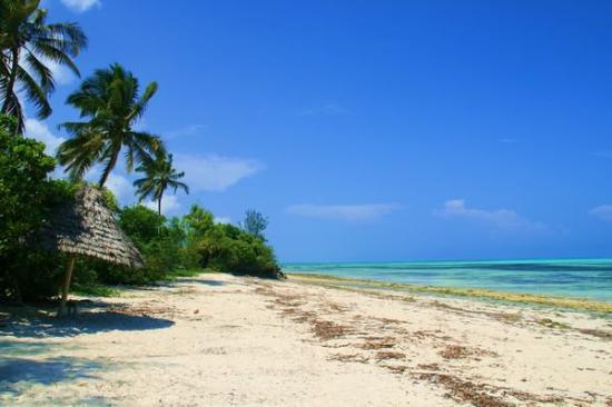Zanzibar Beach Tours